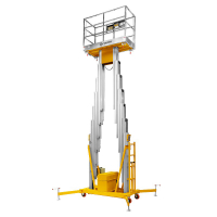 Подъемник мачтовый несамоходный GTWY 10-200S (T) (AC&DC; 200 кг; 10 м) SMARTLIFT HV Market